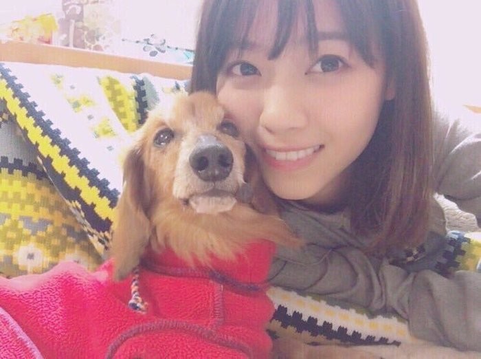 西野七瀬
